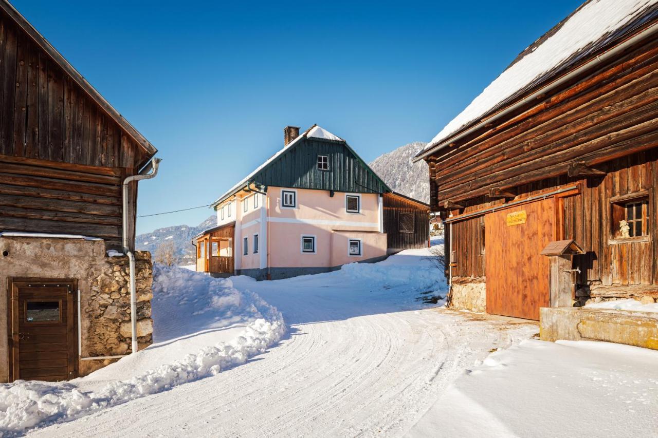 Ferienhaus Schwoellerbauer Sankt Martin am Grimming エクステリア 写真