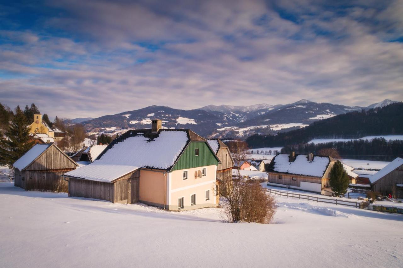 Ferienhaus Schwoellerbauer Sankt Martin am Grimming エクステリア 写真